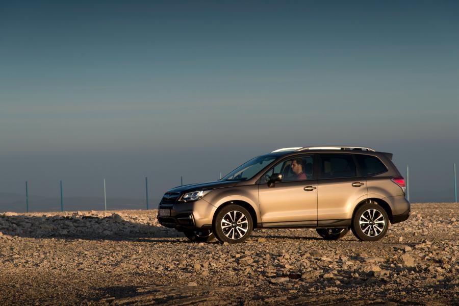  Subaru Forester 2.0i 2015 года  (WW) (фото 18 из 40)
